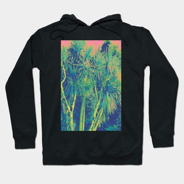 Colorful Tropical Palm Trees Hoodie by sarahwainwright